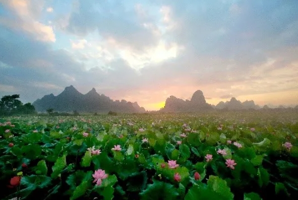 微信截图_20250123093318.png 微信截图_20250123093318.png
